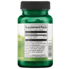 Lactobacillus Gasseri