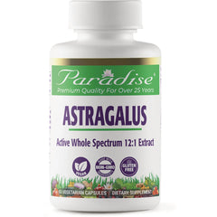 Astragalus