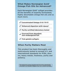 Norwegian Gold Critical Omega