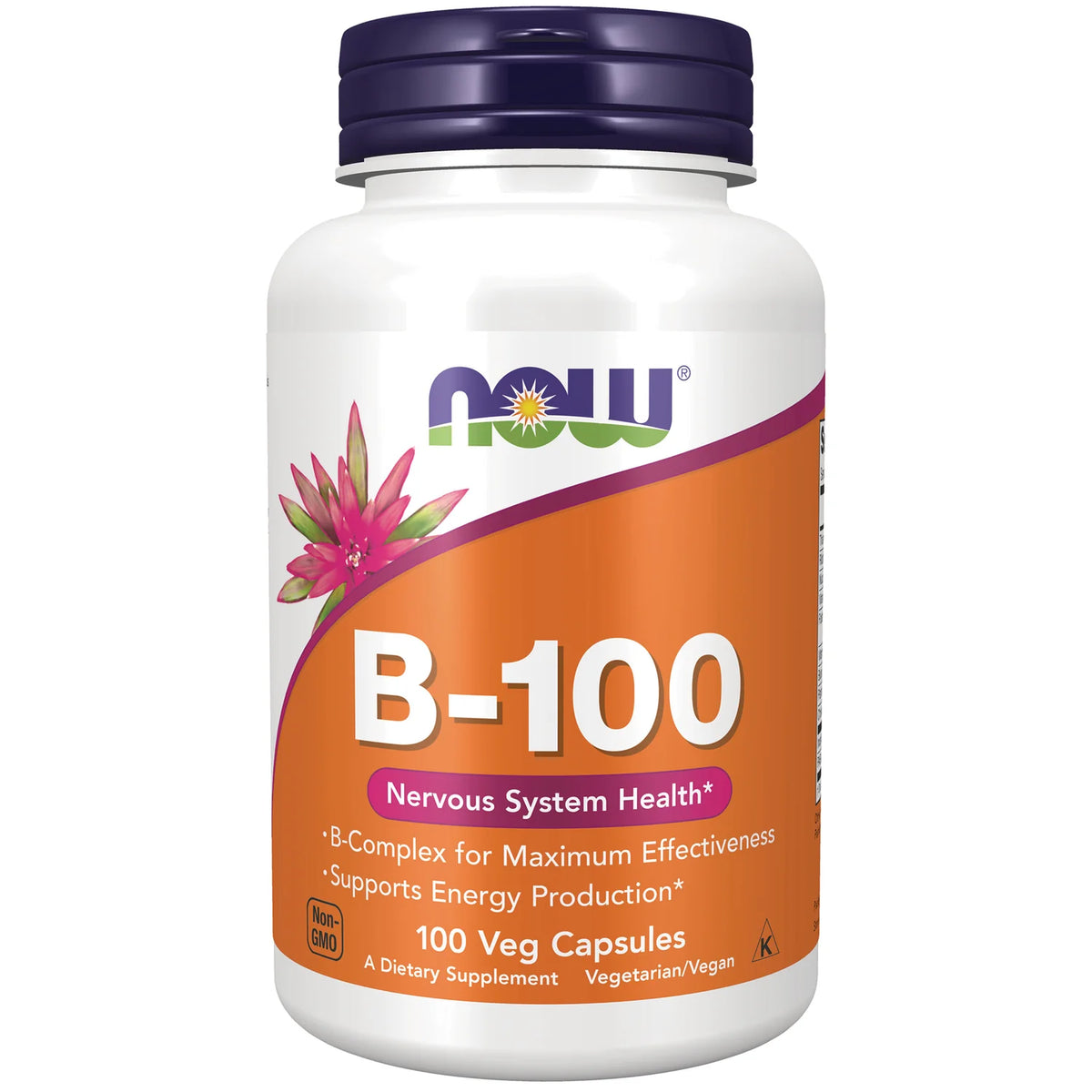 B-100