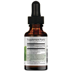 Green Tea Liquid Extract - Alcohol & Sugar Free