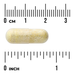Goldenseal Root - Standardized