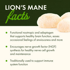 Full Spectrum Lion's Mane Mushroom