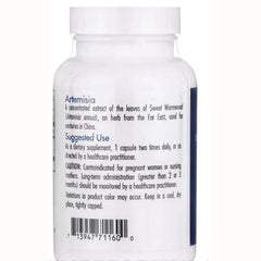 Artemisia
