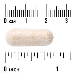 Camu Camu Berries - Standardized