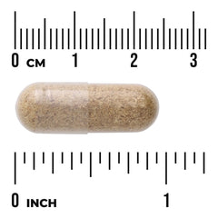 Full Spectrum Fennel Seed