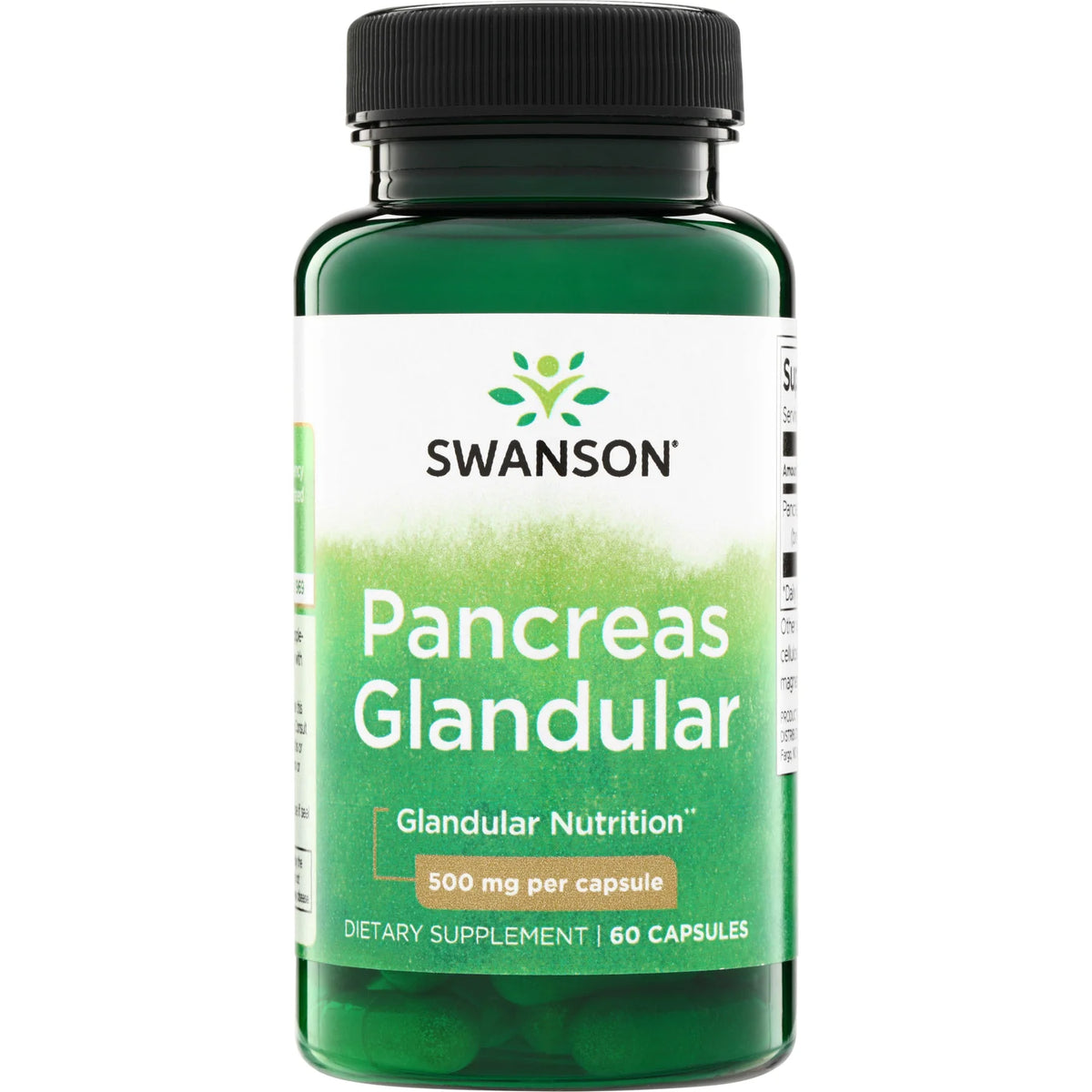 Pancreas Glandular