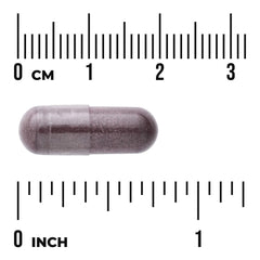 Bilberry Extract - Standardized