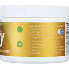 Spry Sugar Free Gum - Natural Fruit