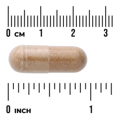Agaricus Blazei Mushroom Extract