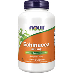 Echinacea