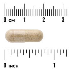 Resveratrol