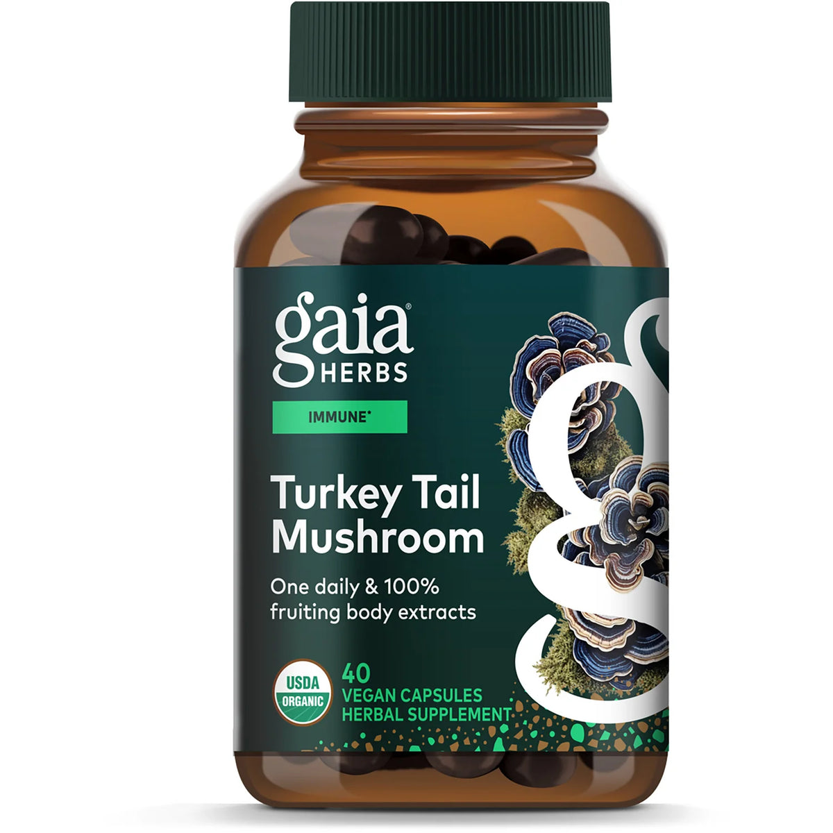 Turkey Tail Mushroom