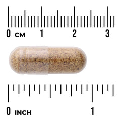 Sprouted Broccoli Seed - Made with Organic Broccoli Seed