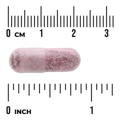 Women's Daily Probiotic + Prebiotic FOS