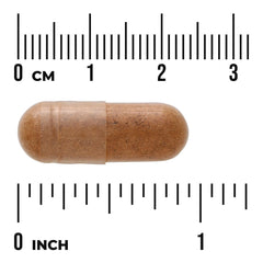 Full Spectrum Pterocarpus Marsupium