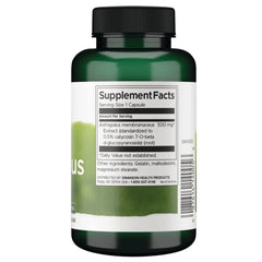 Astragalus - Standardized
