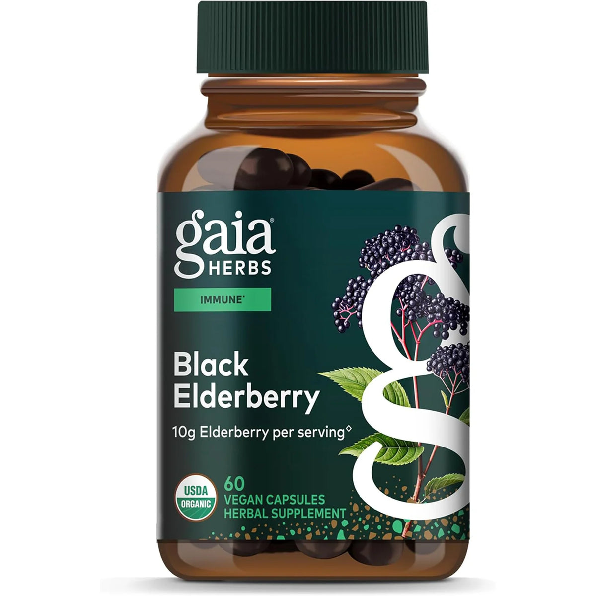 Black Elderberry