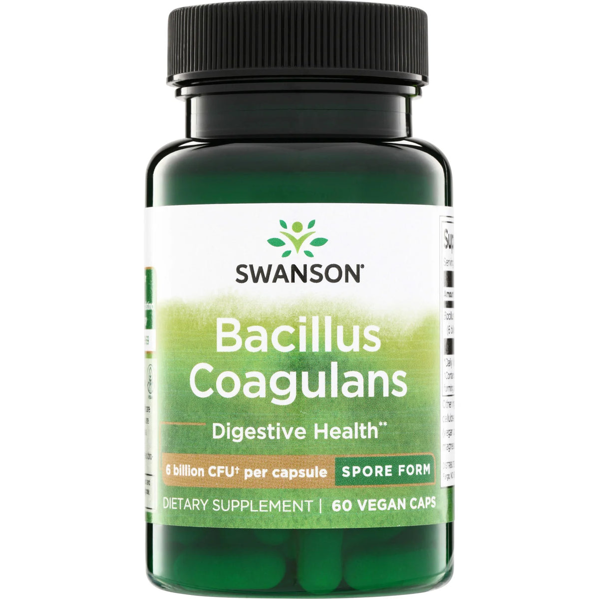 Bacillus Coagulans - Spore Form
