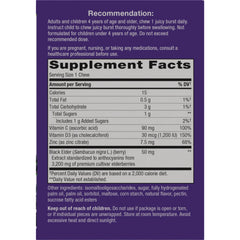 Sambucus Ultra Immune Juicy Burst