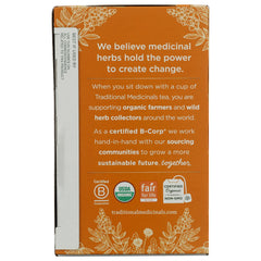 Organic Ginger Aid Tea