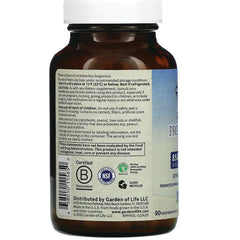 RAW Probiotics Men