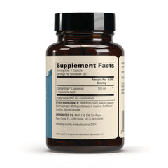 Liposomal Hyaluronic Acid