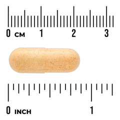 Activated B-Complex - High Bioavailability