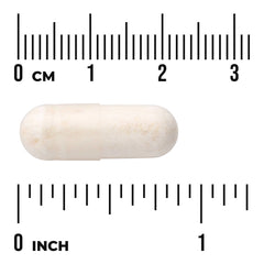 Ultra Probiotic Complex
