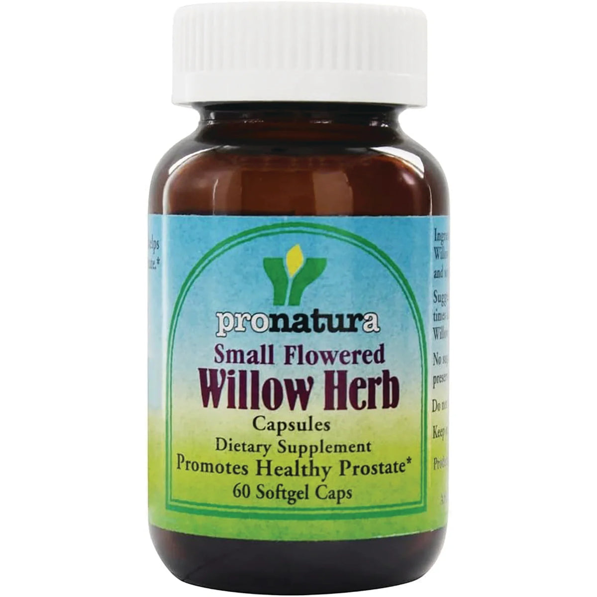 Small Flowered Willow Herb