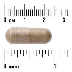 Full Spectrum Uva Ursi Leaf