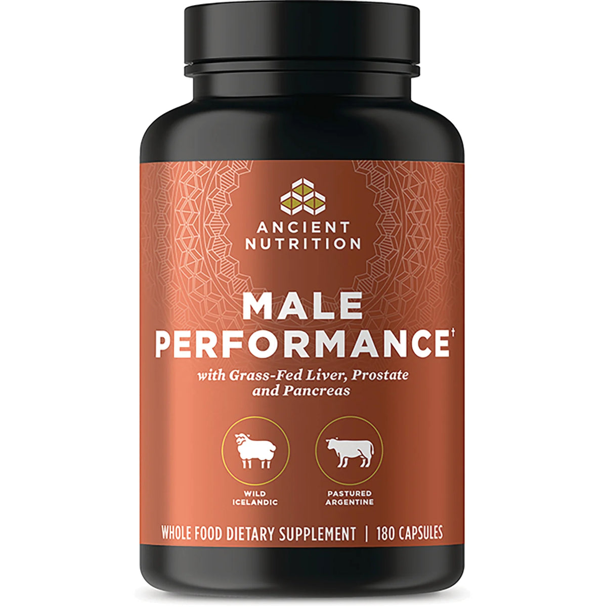 Male Performance