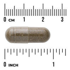 Full Spectrum Sweet Wormwood (Artemisia annua)