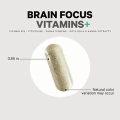 Brain Focus Vitamins+