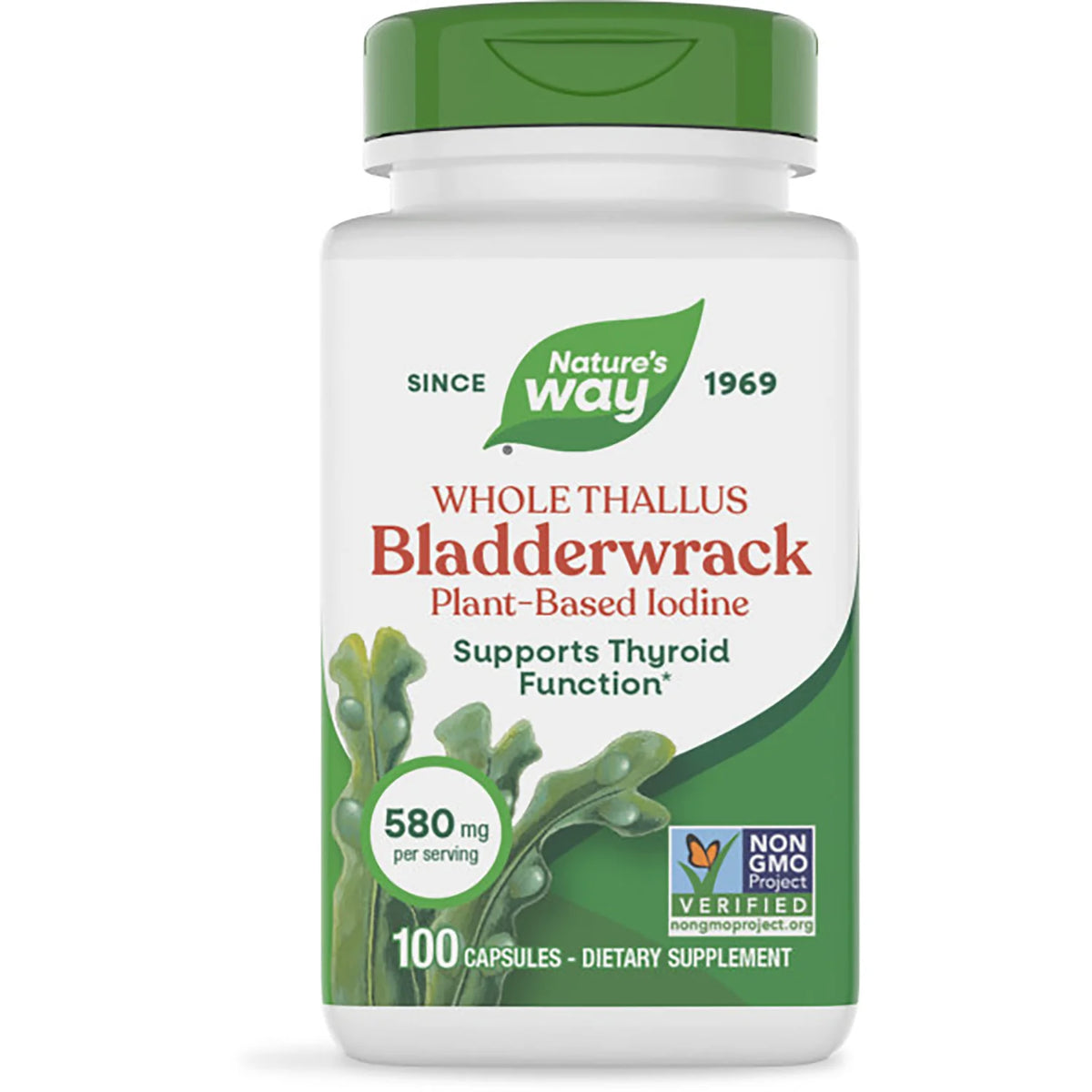 Whole Thallus Bladderwrack Plant-Based Iodine