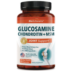 Glucosamine Chondroitin + MSM