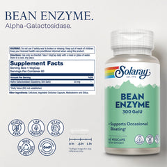 Bean Enzyme