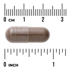 Full Spectrum Eucommia Bark