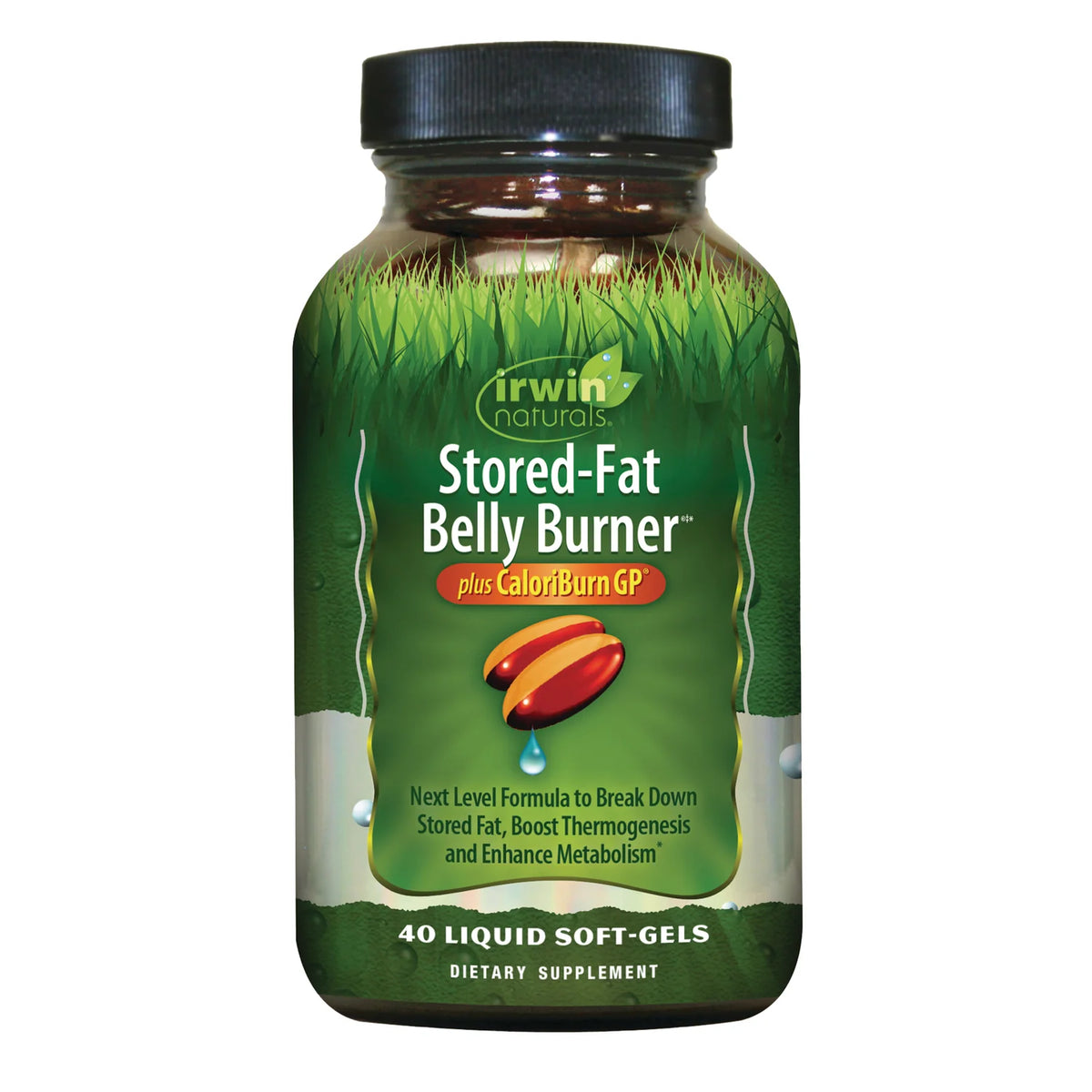 Stored-Fat Belly Burner plus CaloriBurn GP