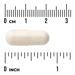 Digestitol with Enzymes & BioPerine