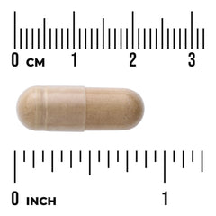 Chamomile Flower Extract - Standardized Apigenin