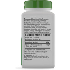 Echinacea Purpurea Herb