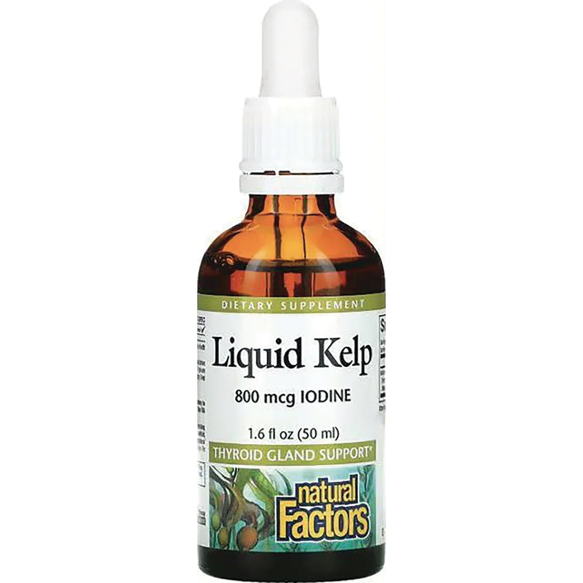 Liquid Kelp