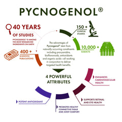 Pycnogenol
