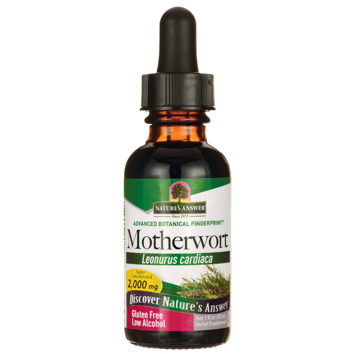 Motherwort