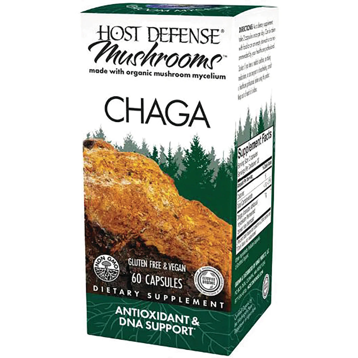 Chaga