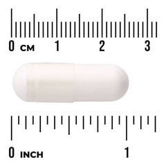 N-Acetyl D-Glucosamine