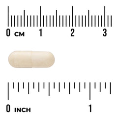 Folate 5-Methyltetrahydrofolic Acid - Bioactive Form