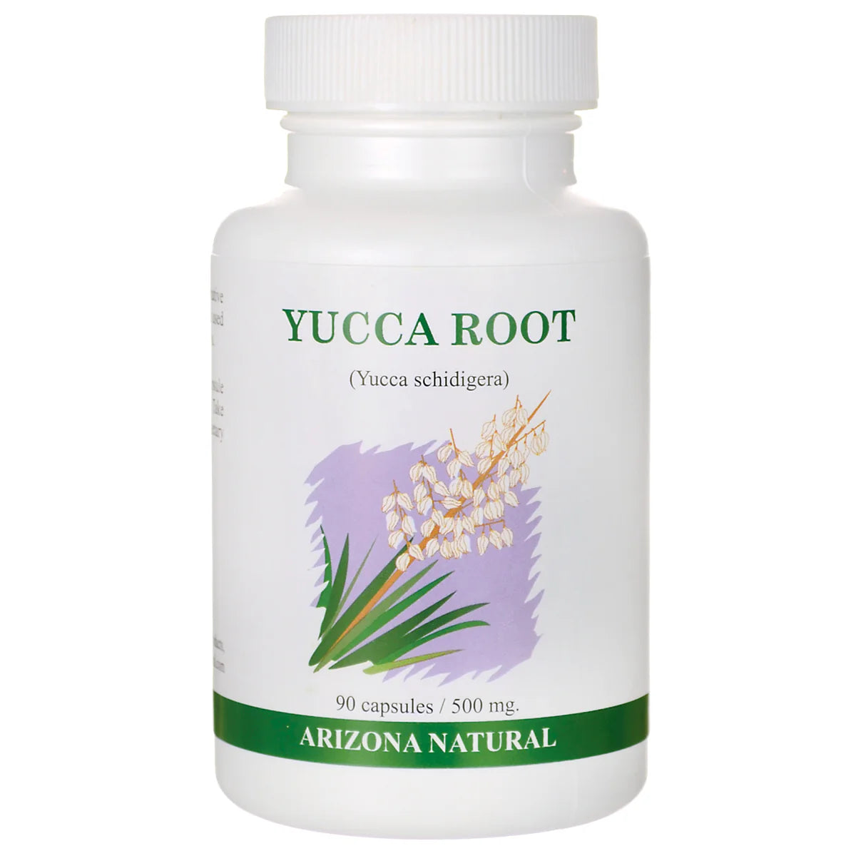Yucca Root