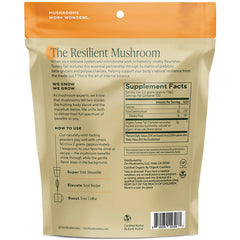 Turkey Tail Mushroom Powder